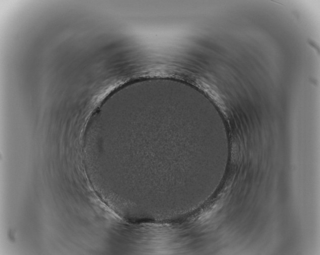 X0000095930673200801181441