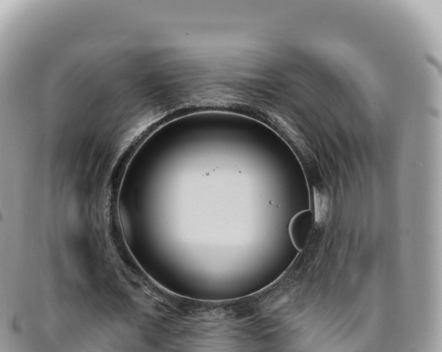 X0000095930675200801181441