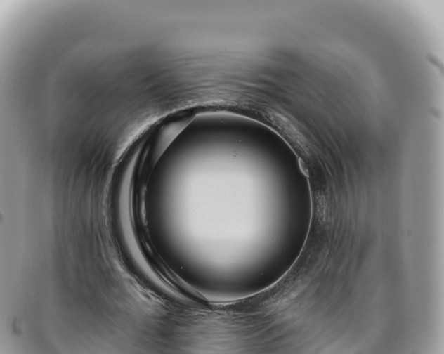 X0000095930676200801181441