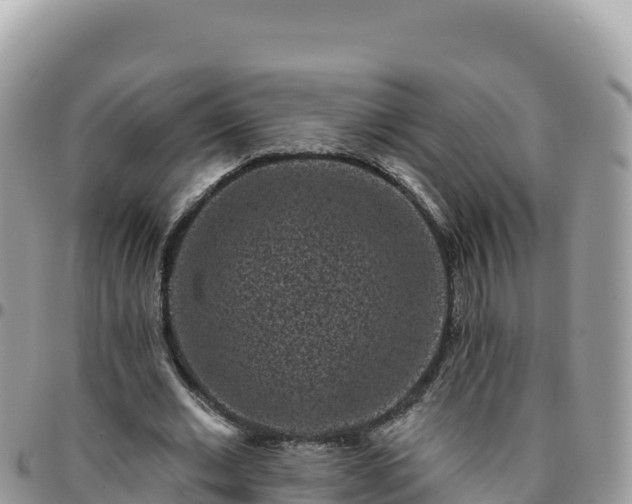 X0000095930677200801181441