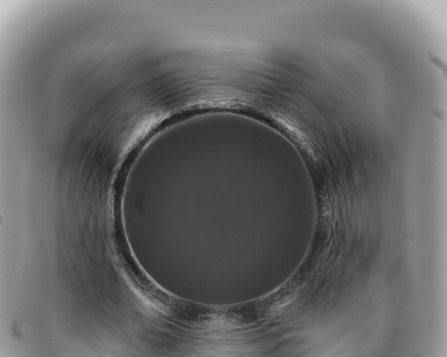 X0000095930678200801181441
