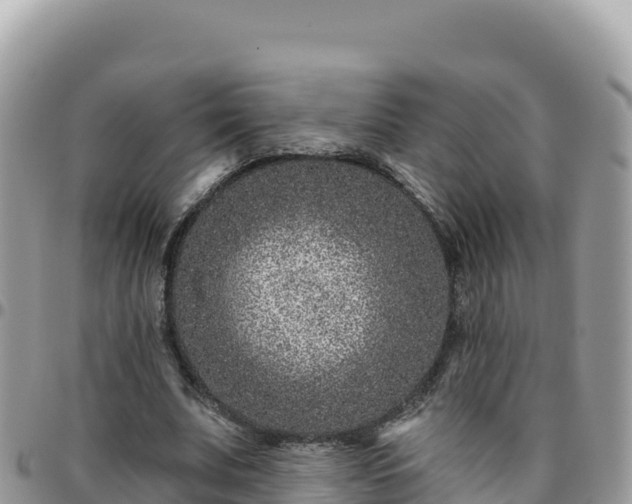 X0000095930679200801181441