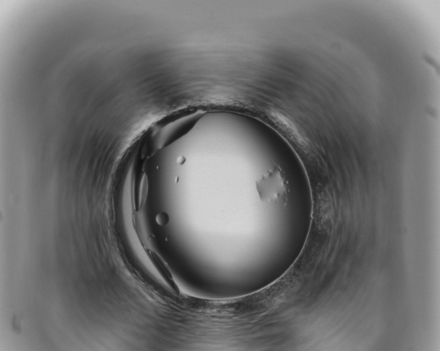X0000095930680200801181441