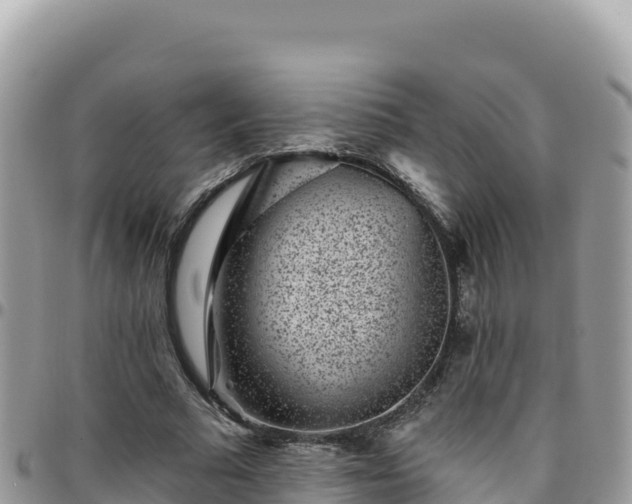 X0000095930681200801181441