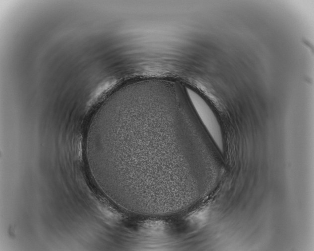 X0000095930685200801181440