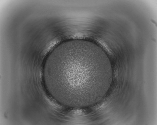 X0000095930687200801181440