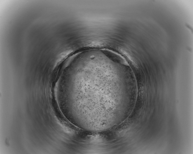 X0000095930688200801181440