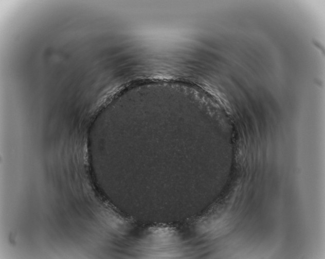 X0000095930689200801181440