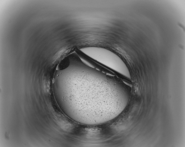 X0000095930693200801181440
