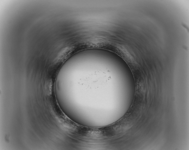 X0000095930694200801181440
