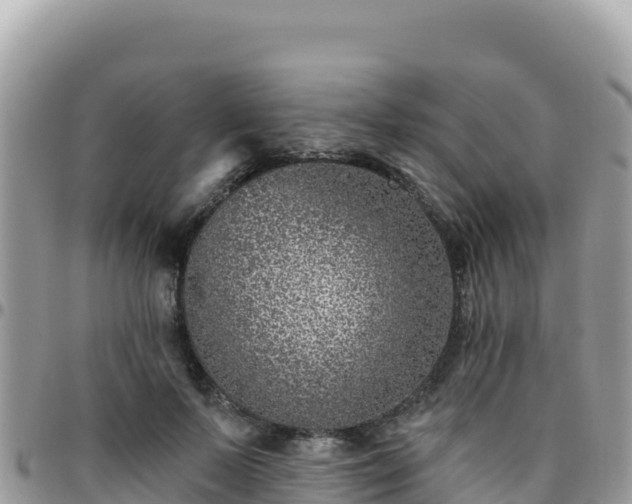 X0000095930695200801181440