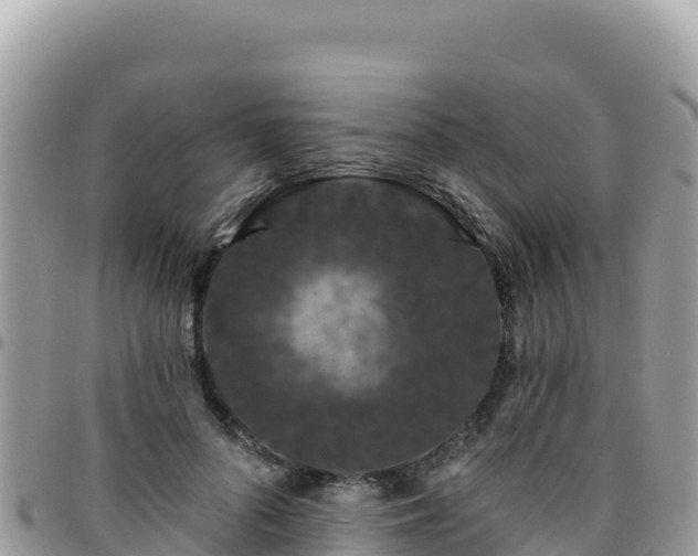 X0000095930696200801181440