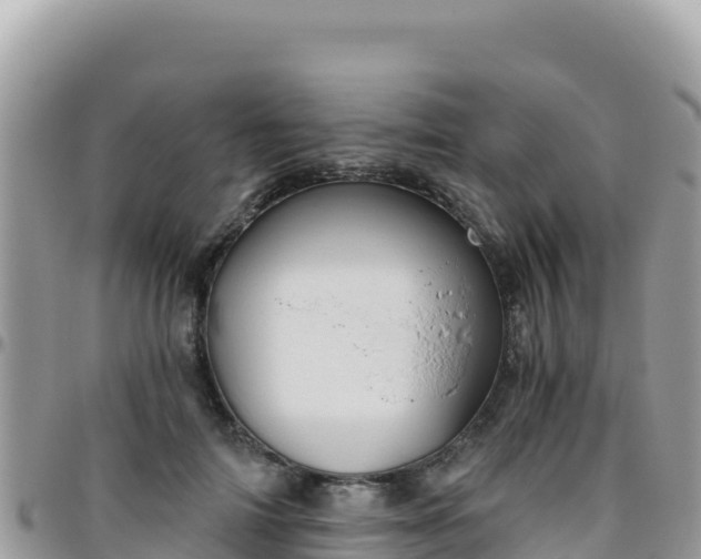 X0000095930698200801181440