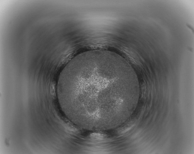 X0000095930699200801181440