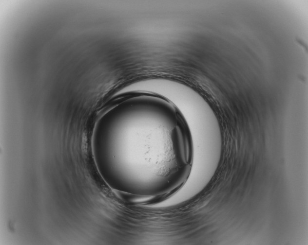 X0000095930700200801181440