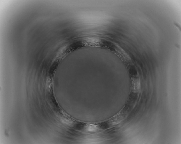 X0000095930701200801181440