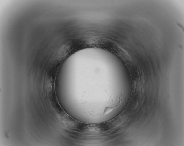 X0000095930702200801181440