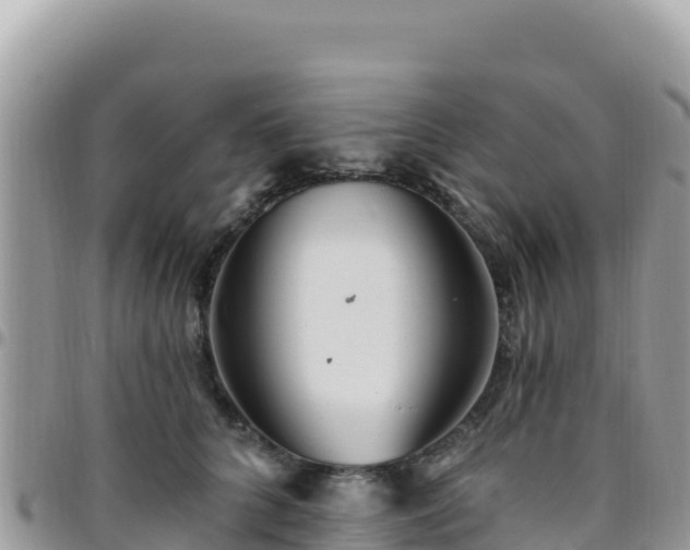 X0000095930704200801181440