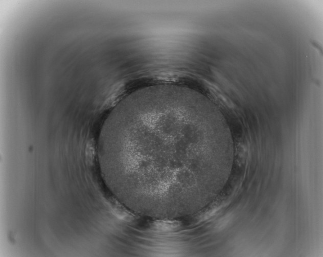 X0000095930707200801181440