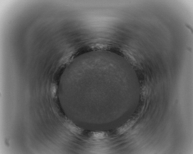 X0000095930709200801181440