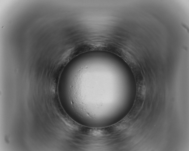 X0000095930710200801181440