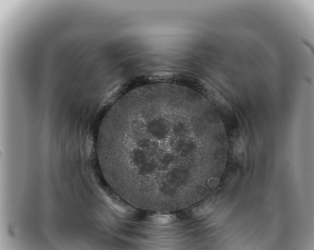 X0000095930711200801181440