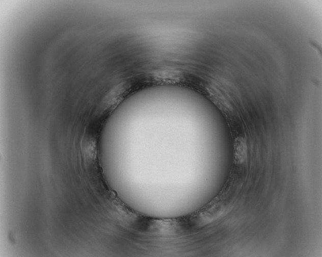 X0000095930713200801181440