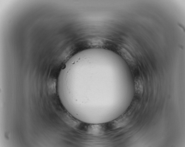 X0000095930717200801181440