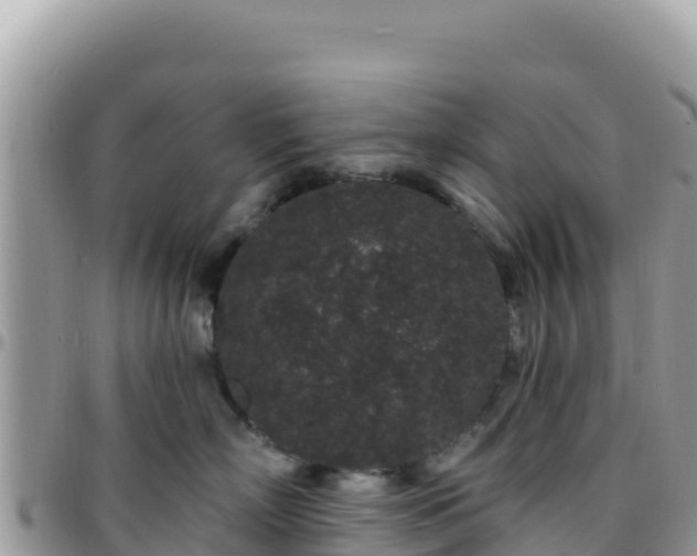 X0000095930718200801181440