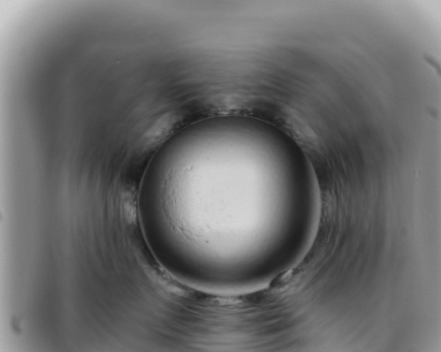 X0000095930719200801181440