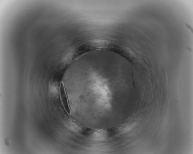 X0000095930720200801181440