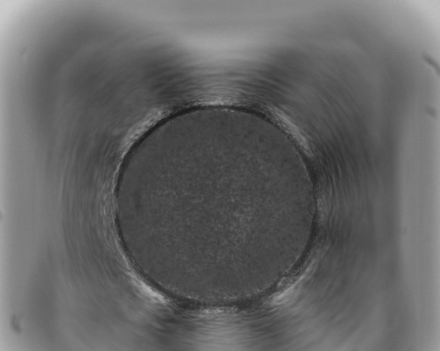 X0000095930721200801181439