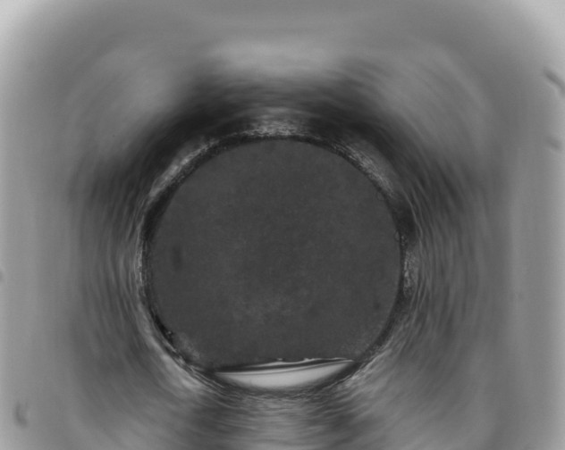 X0000095930722200801181439