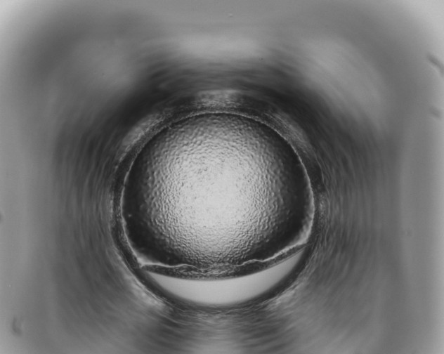 X0000095930725200801181439