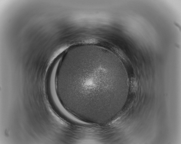 X0000095930726200801181439