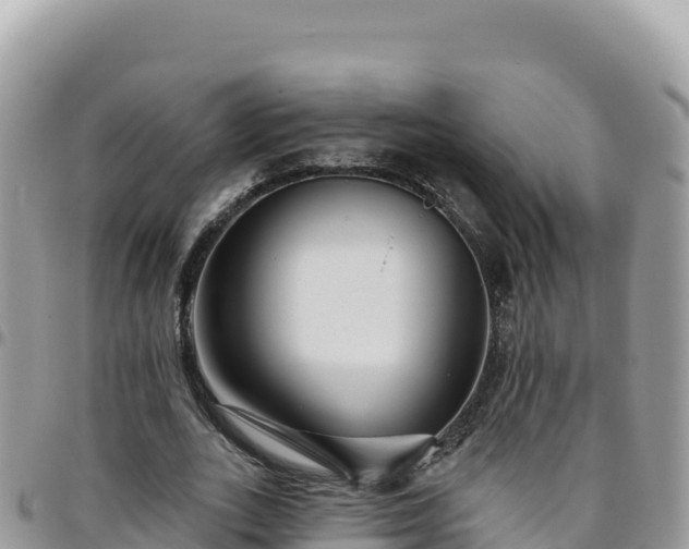 X0000095930727200801181439