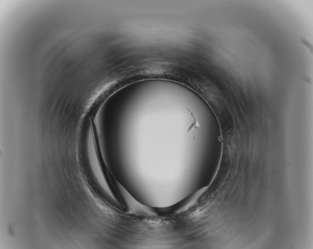 X0000095930728200801181439