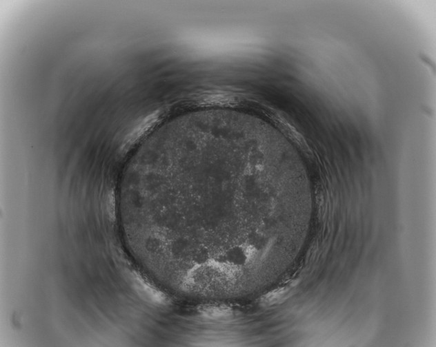 X0000095930729200801181439