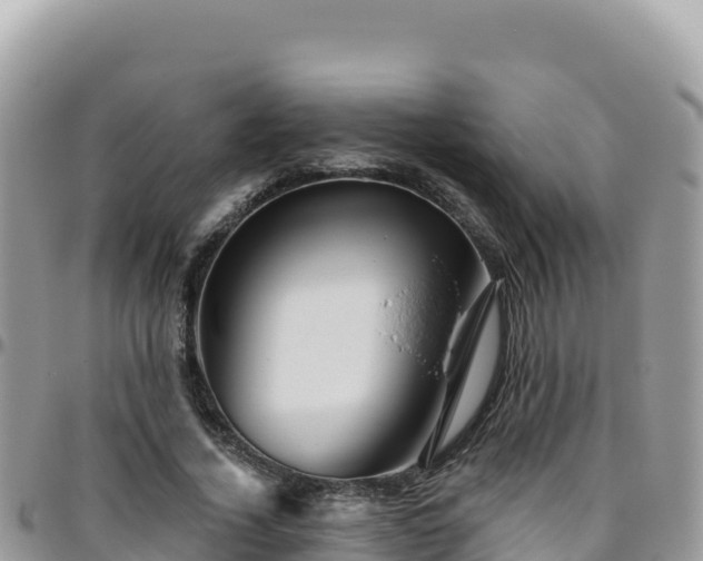 X0000095930732200801181439