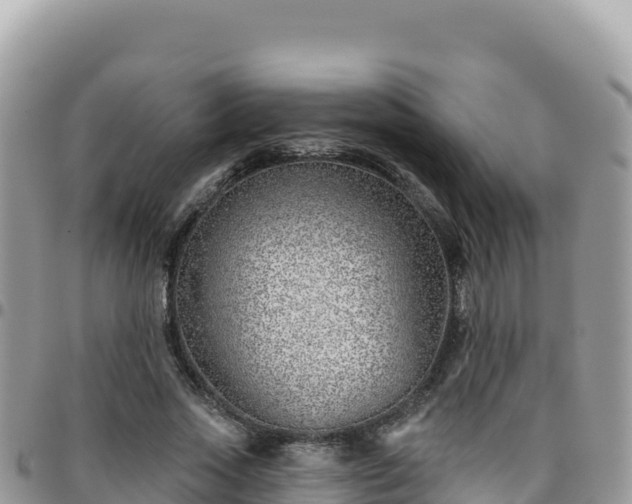 X0000095930733200801181439