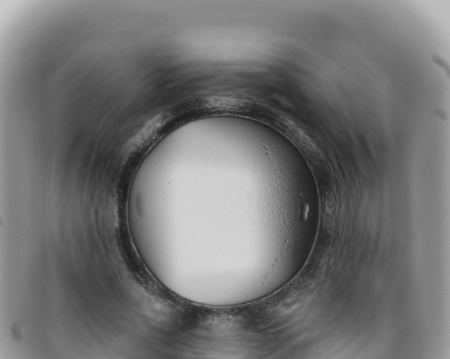 X0000095930734200801181439