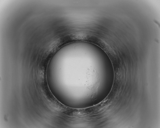 X0000095930739200801181439