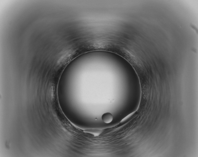X0000095930740200801181439