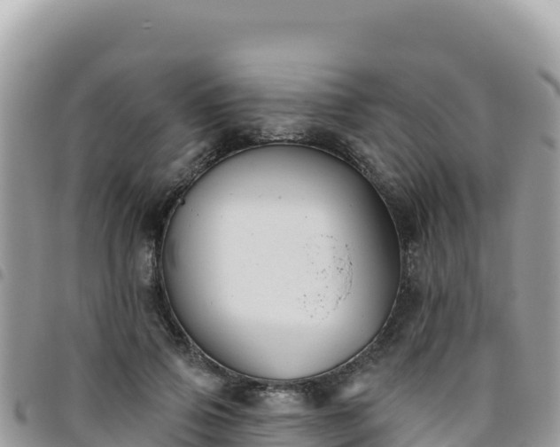 X0000095930741200801181439