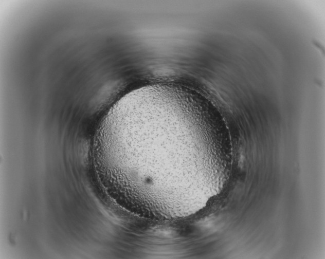 X0000095930742200801181439