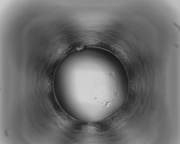 X0000095930743200801181439