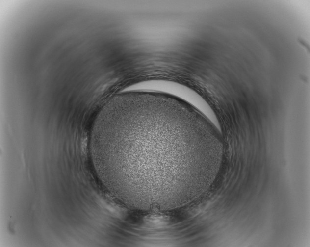 X0000095930745200801181439
