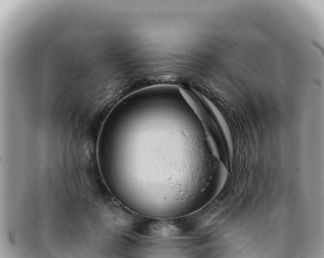 X0000095930747200801181439
