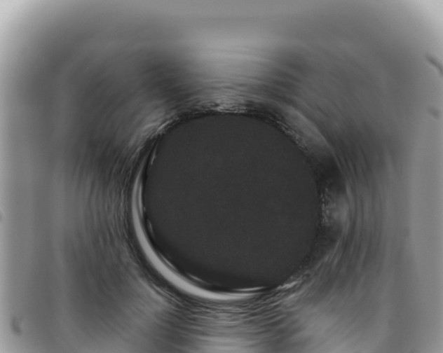 X0000095930748200801181439
