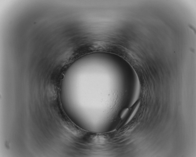 X0000095930751200801181439